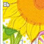 sunflower06